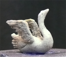 Schwan